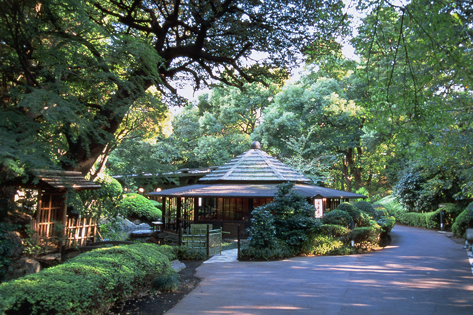 MOMIJI-TEI